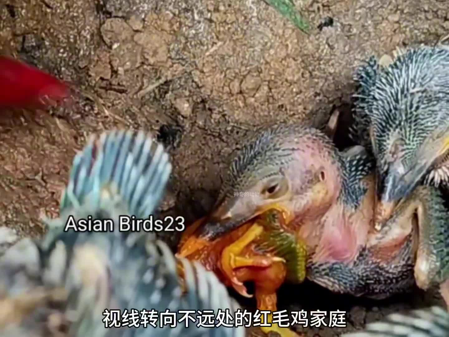 图