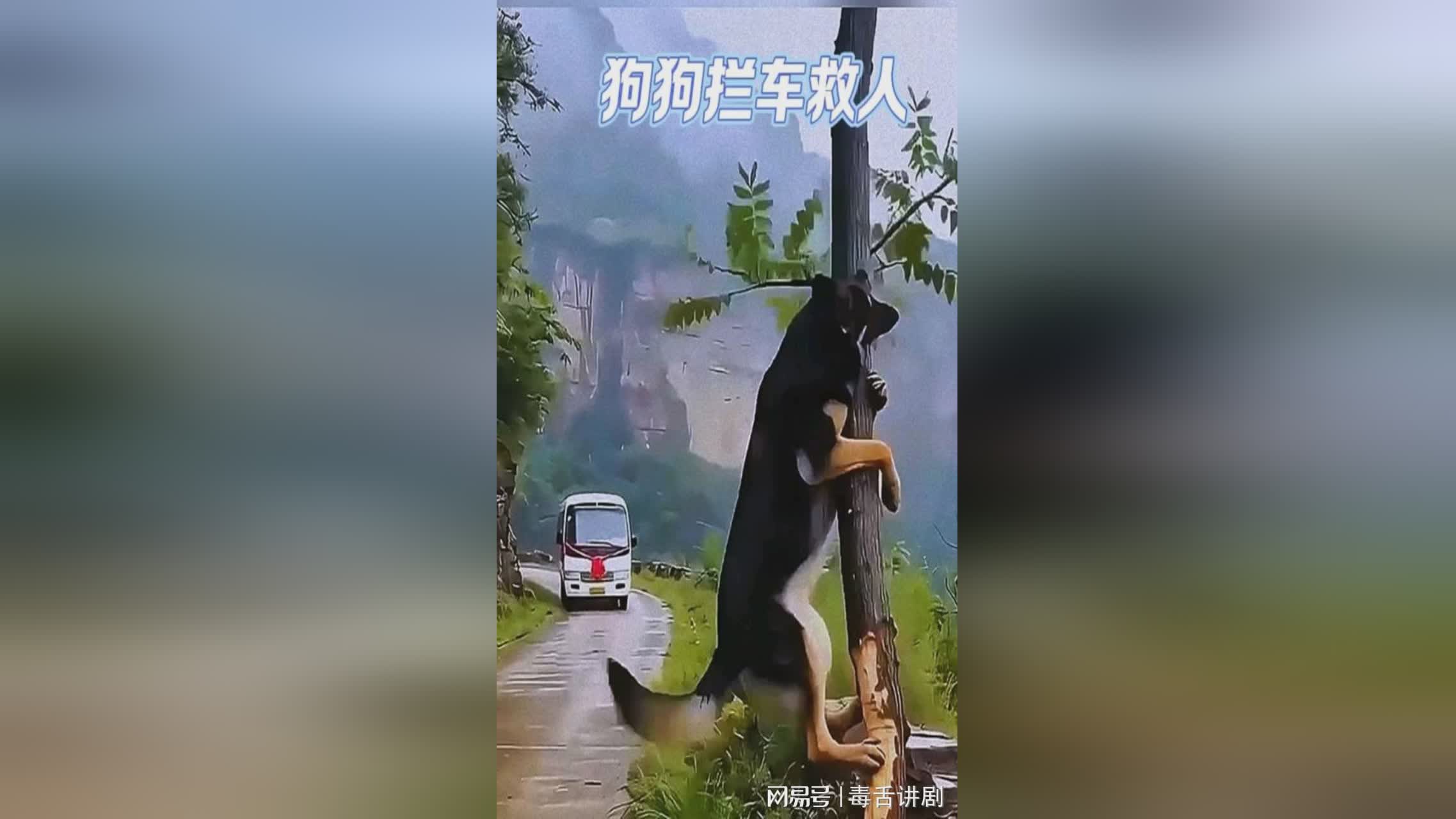 图