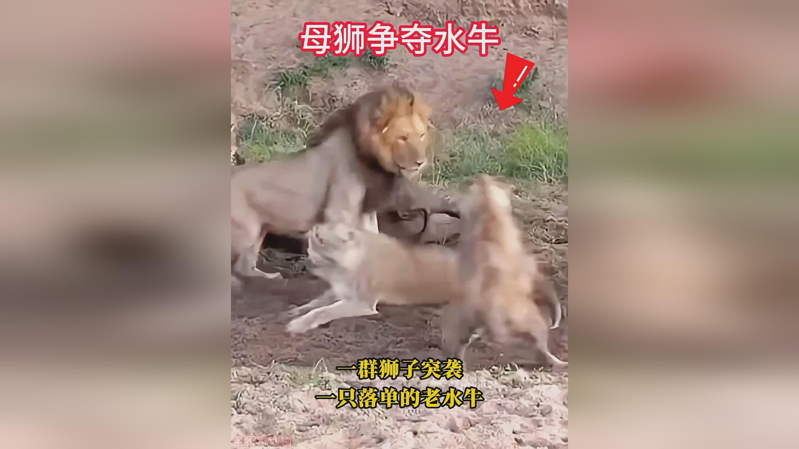 图