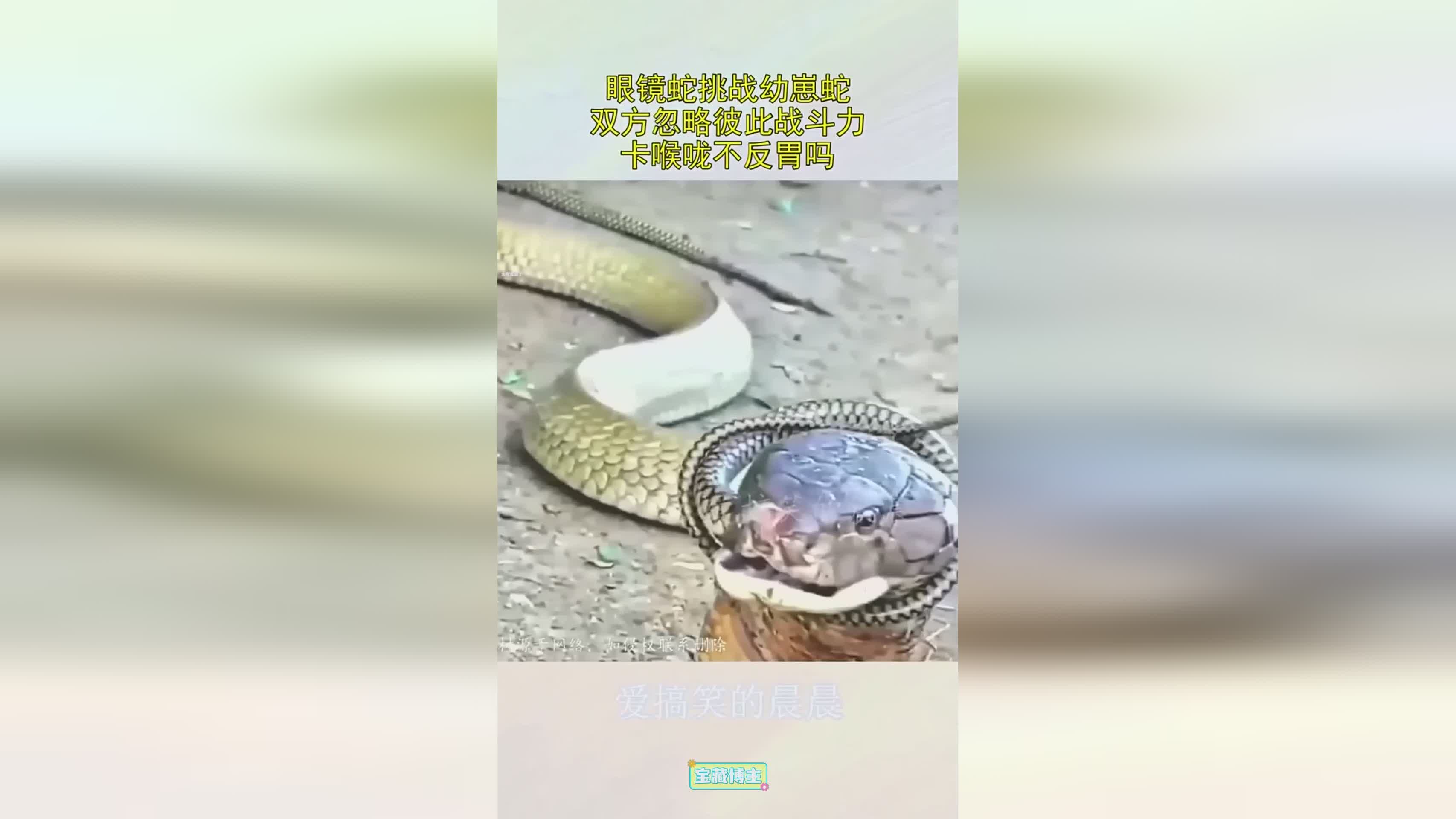 图