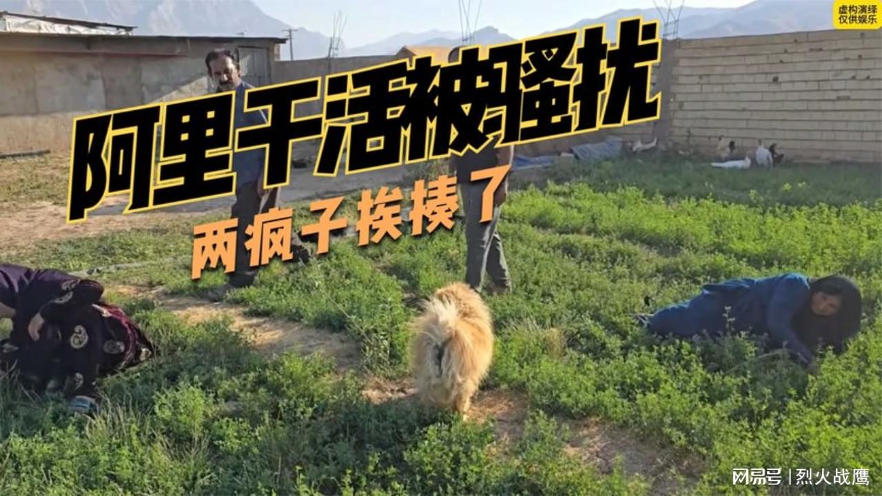 图