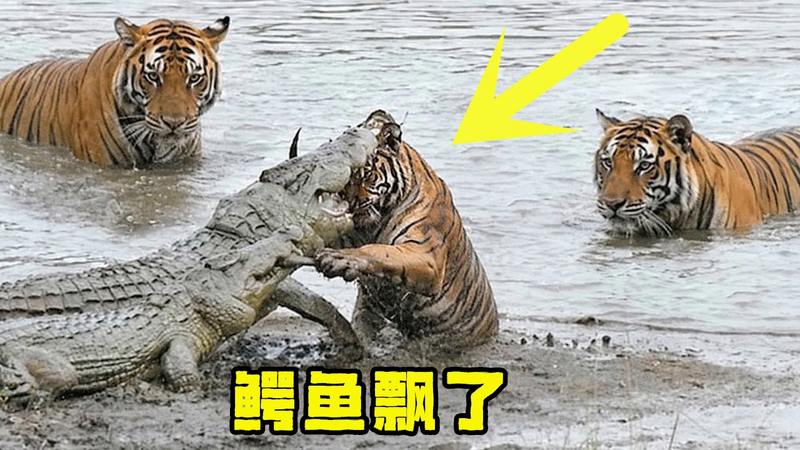 图
