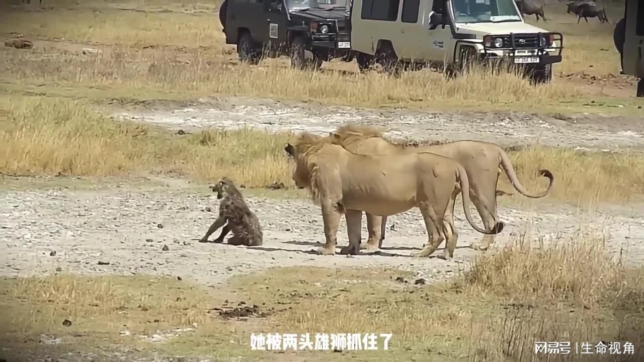 图