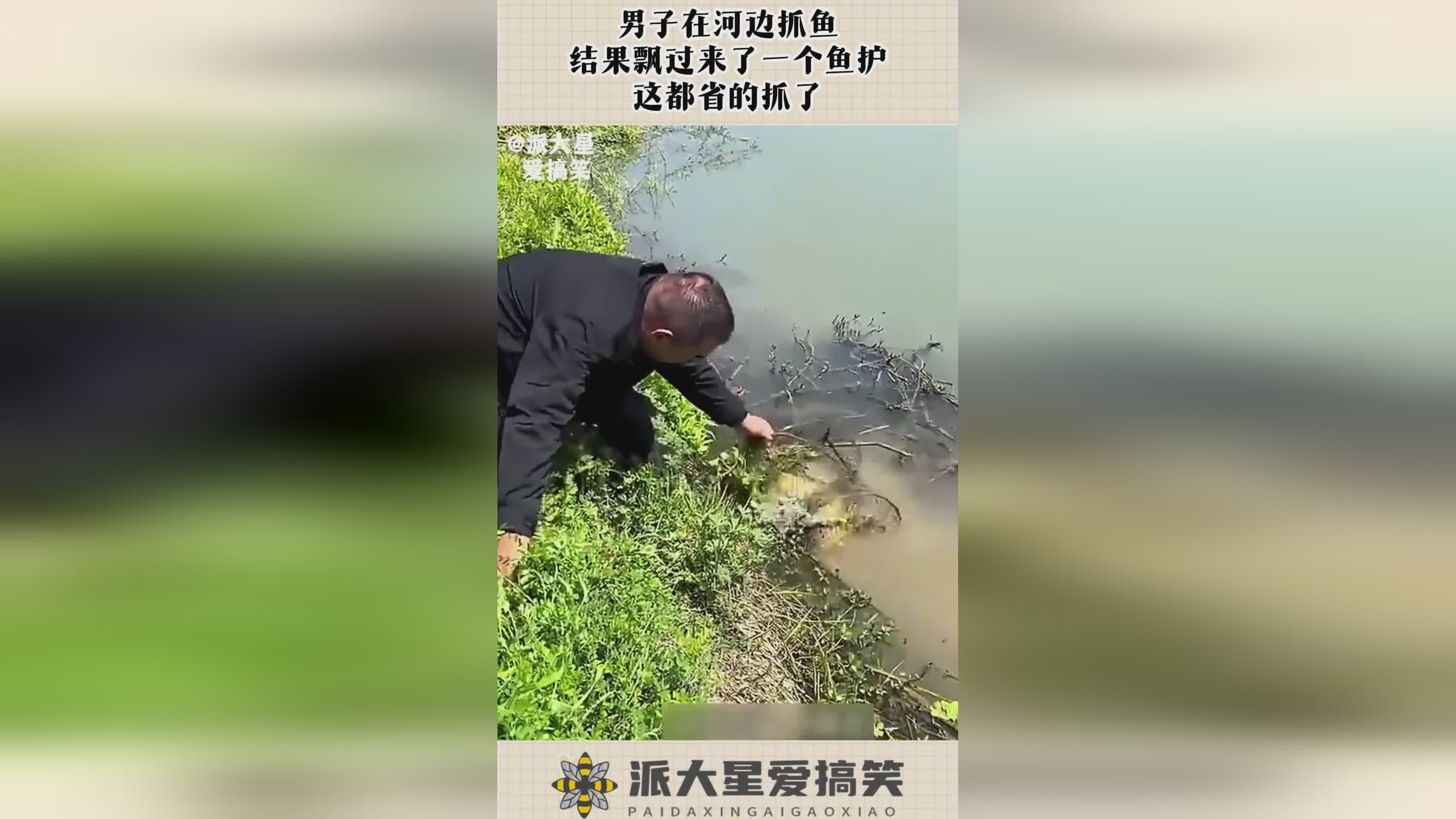图