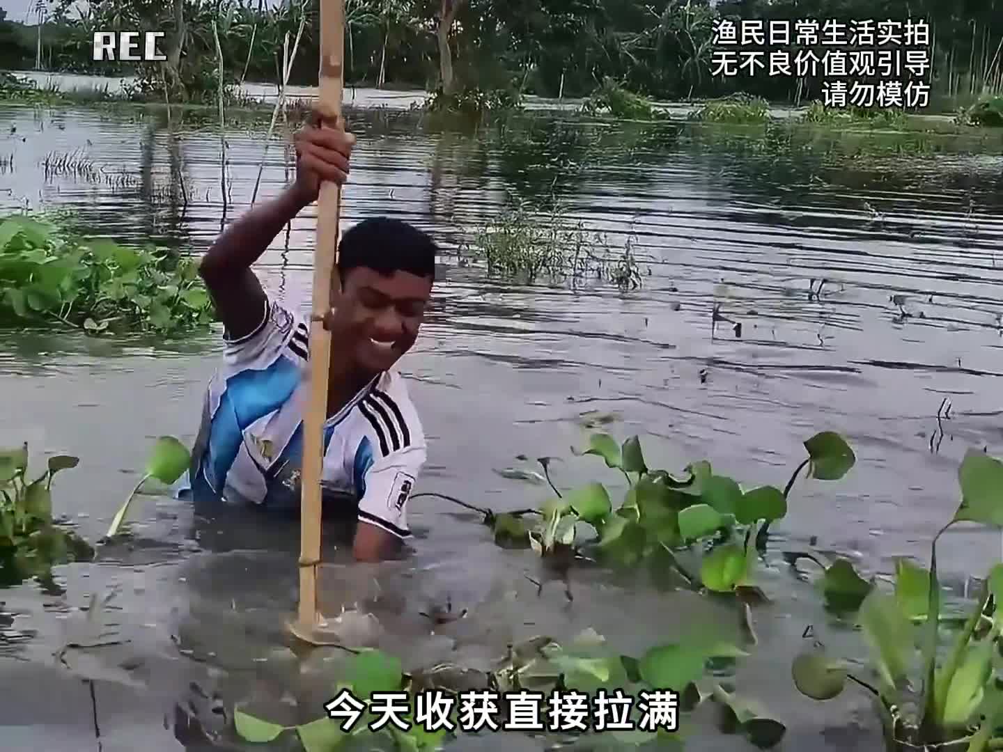 图