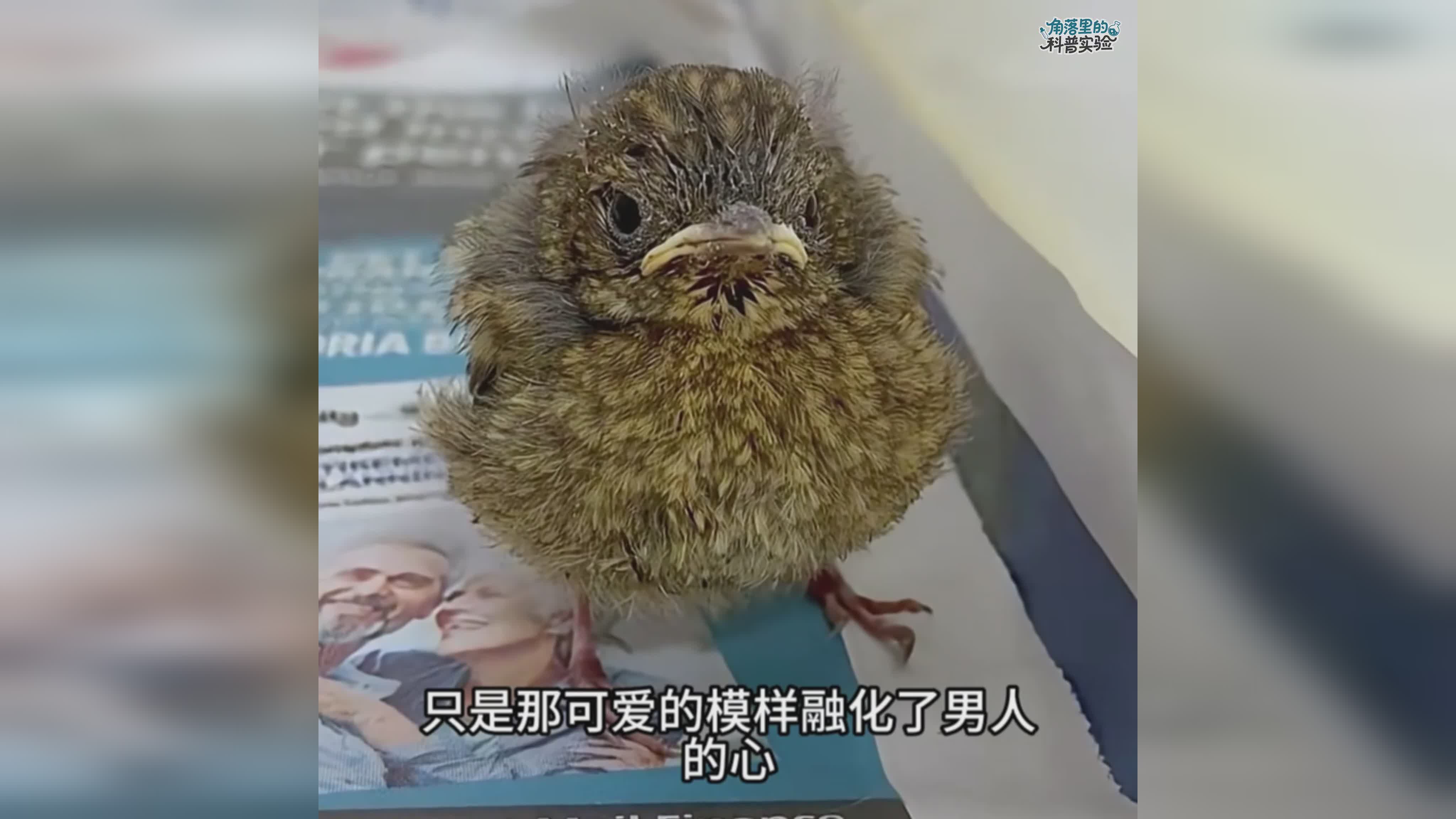 图