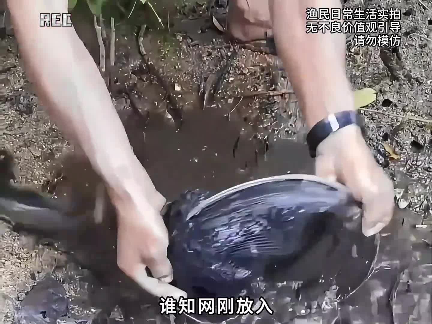 图
