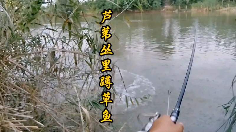图