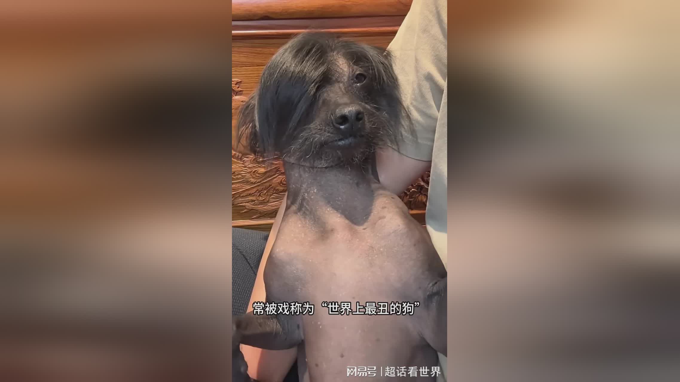 图