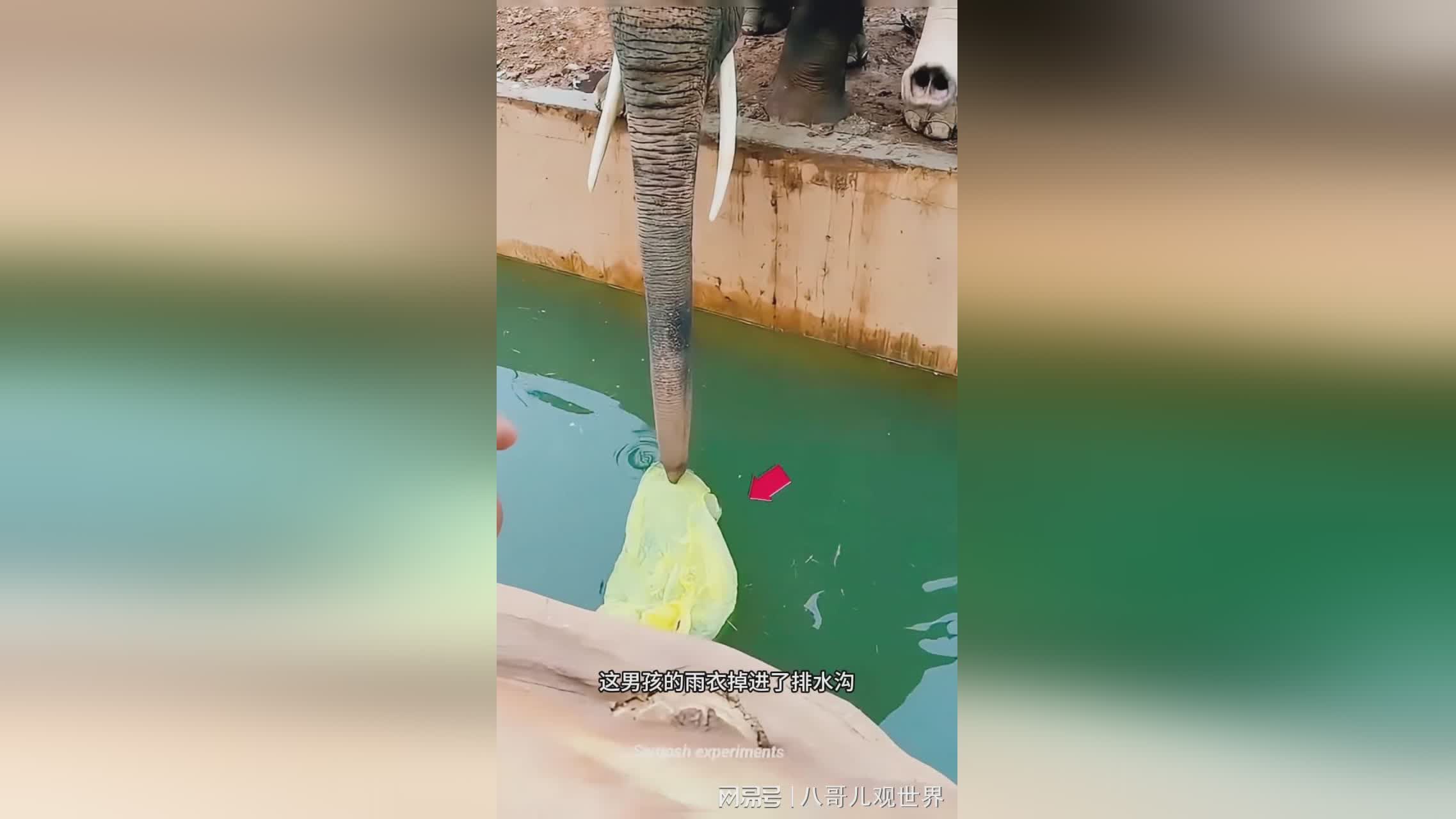 图