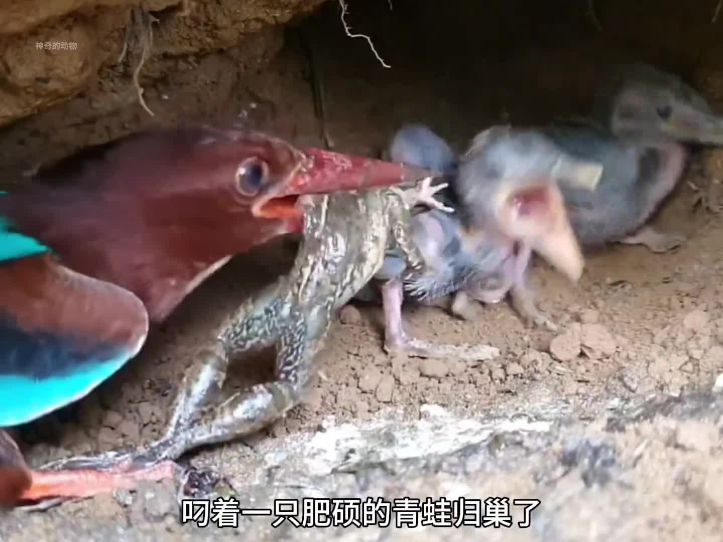 图