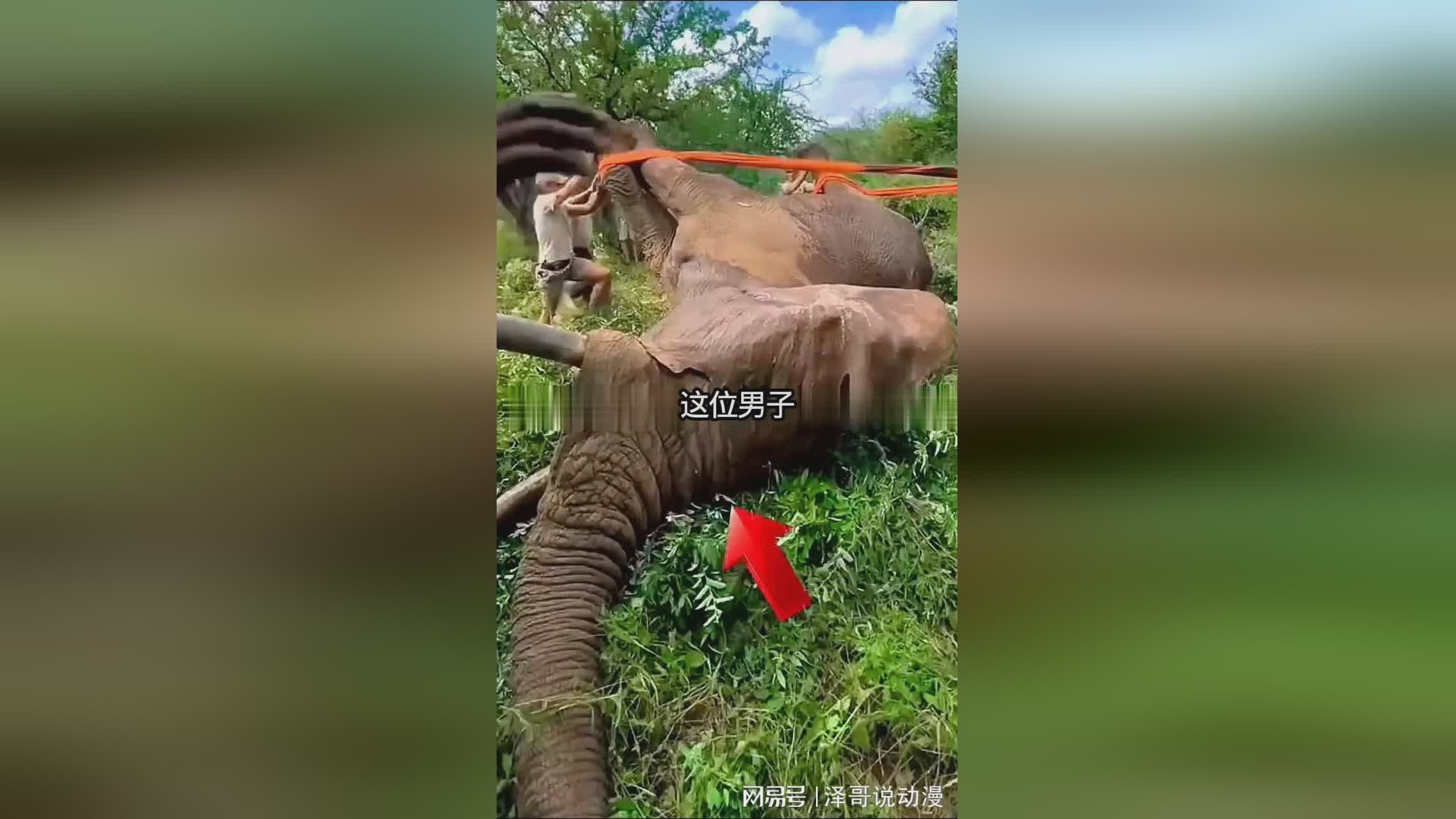图