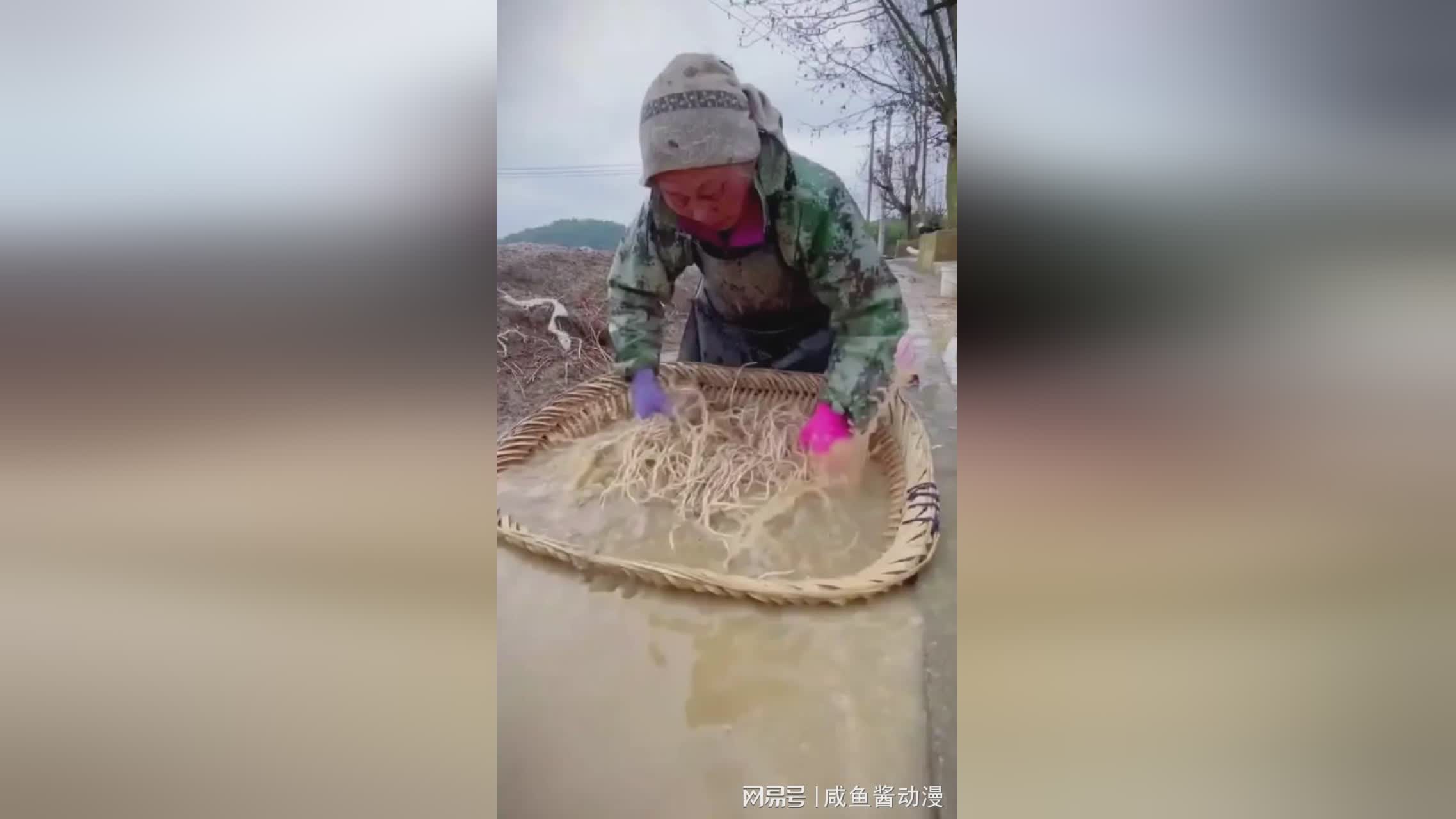 图