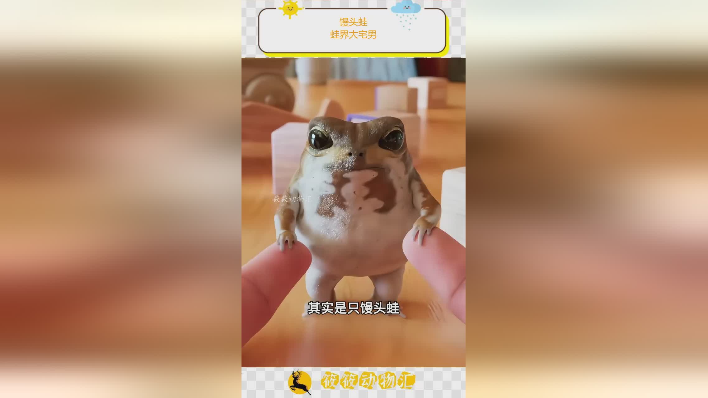 图