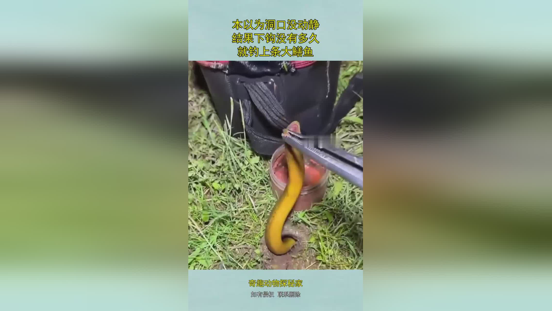图