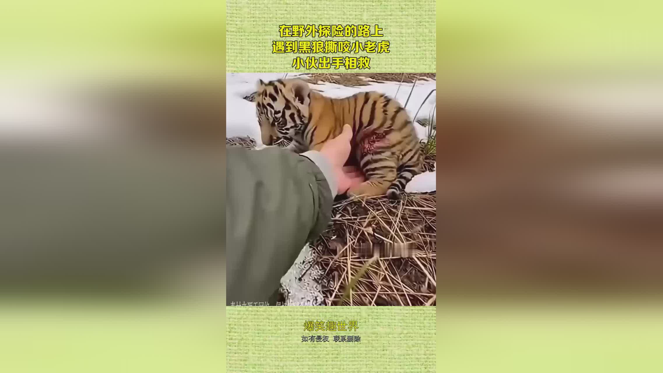 图
