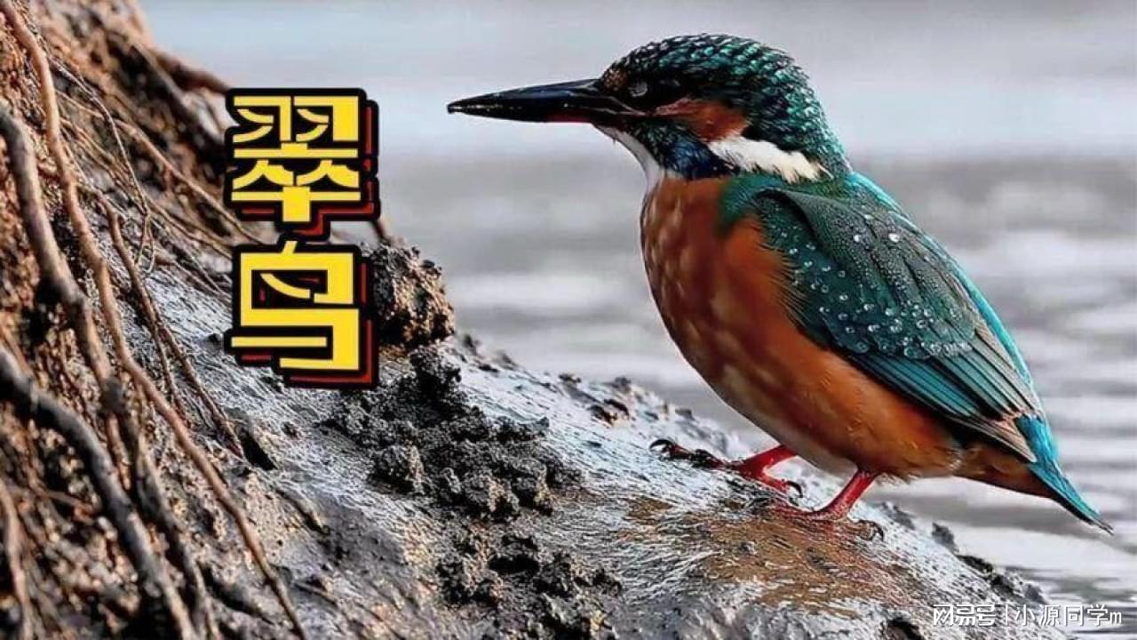 图