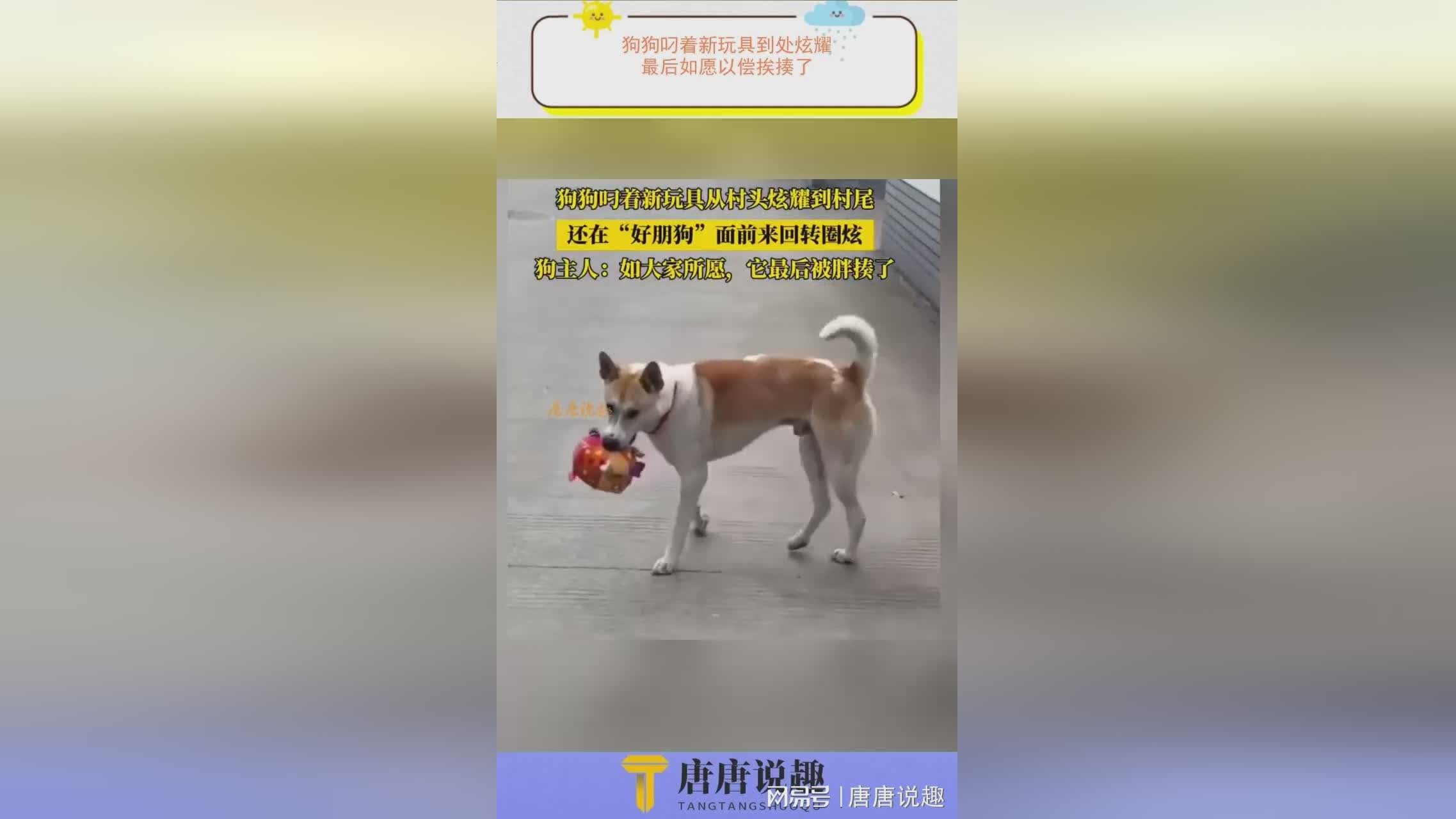 图