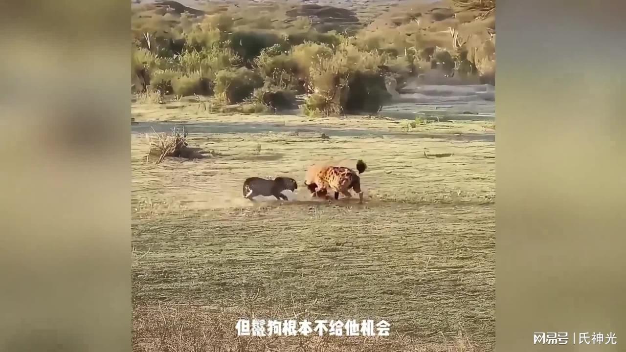 图