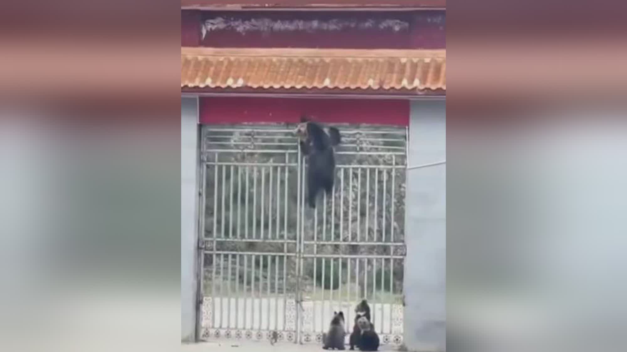 图