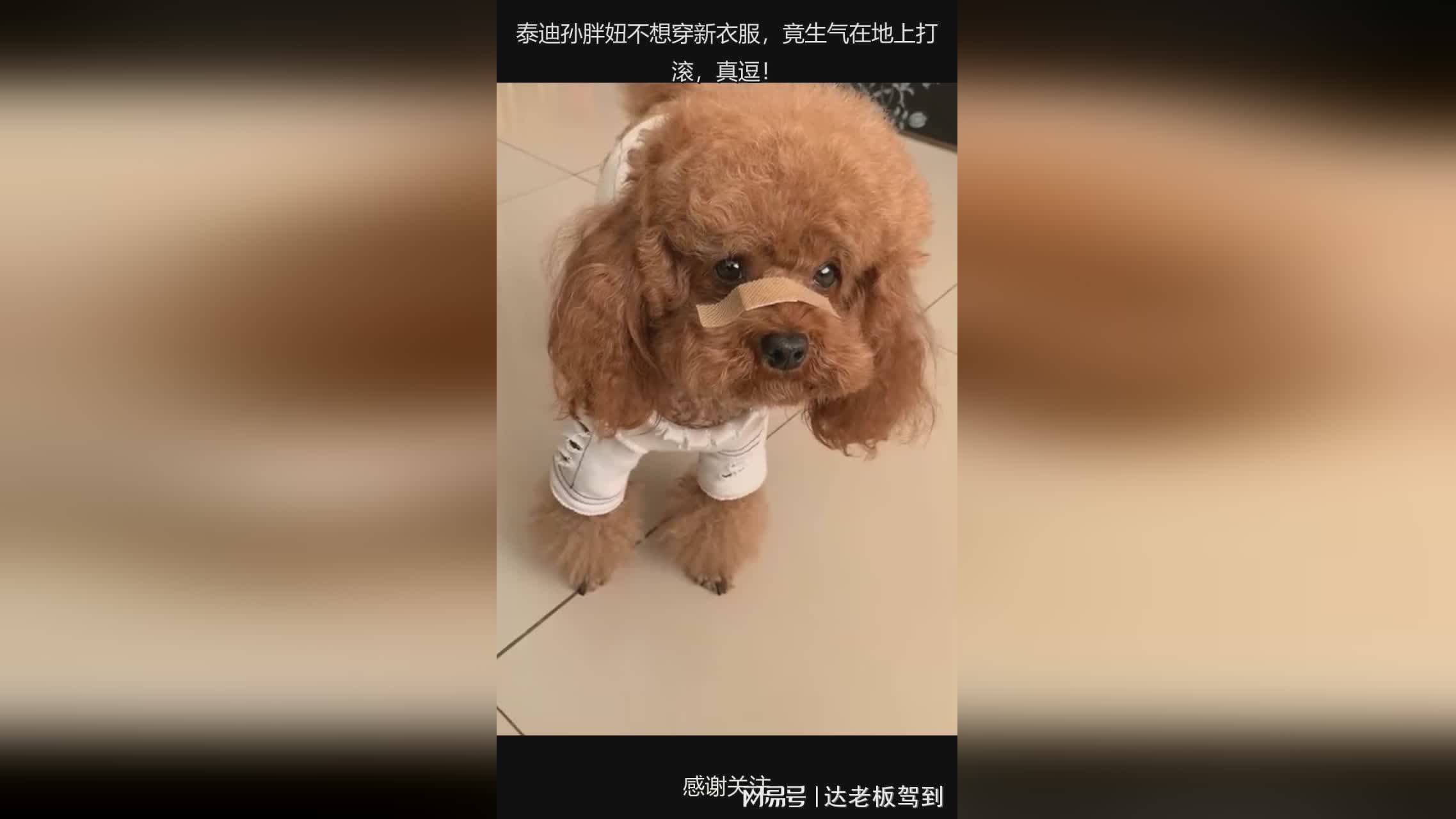 图