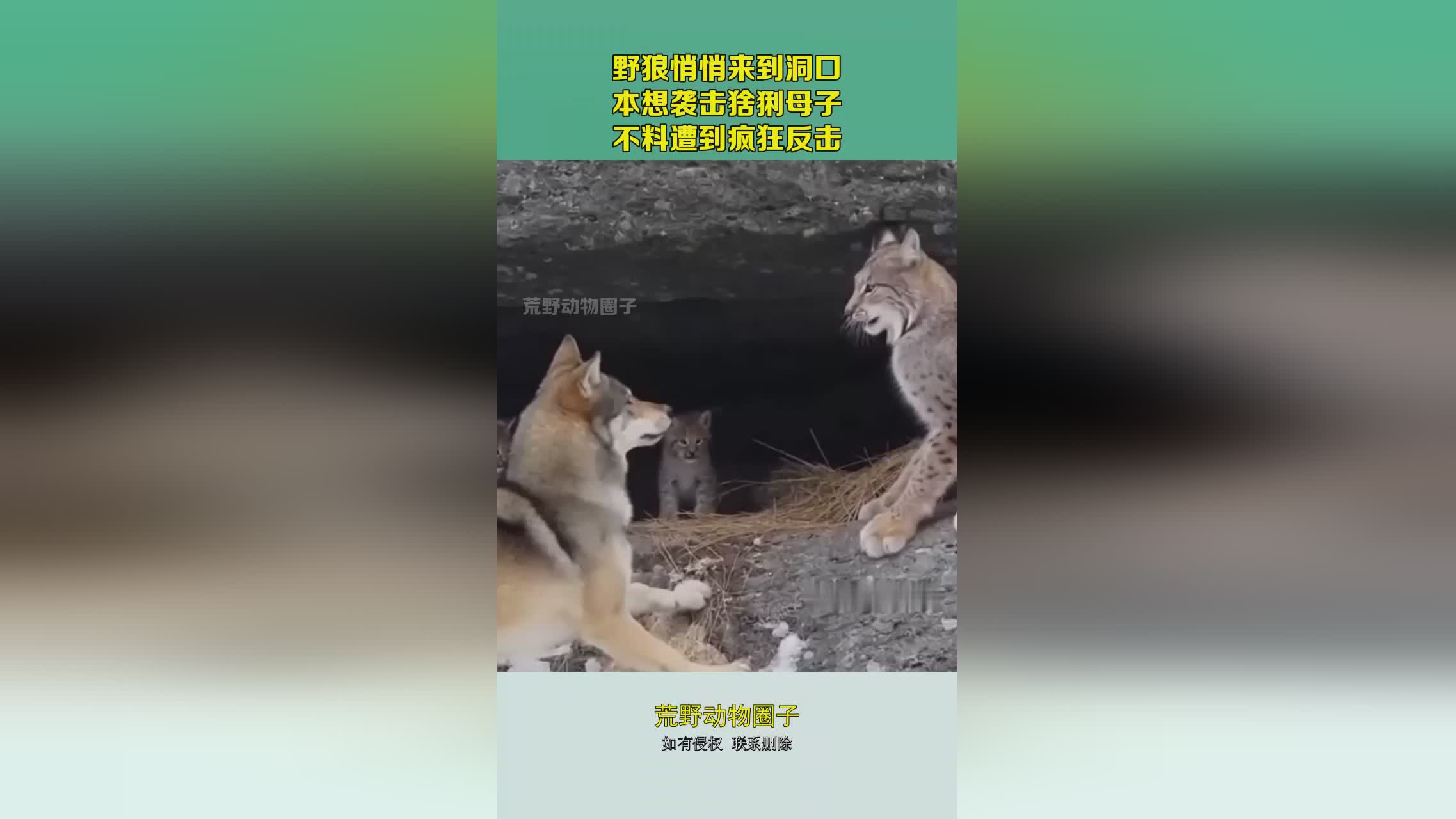 图