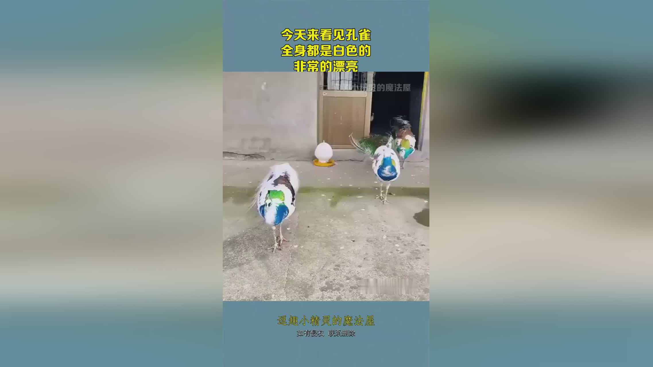 图