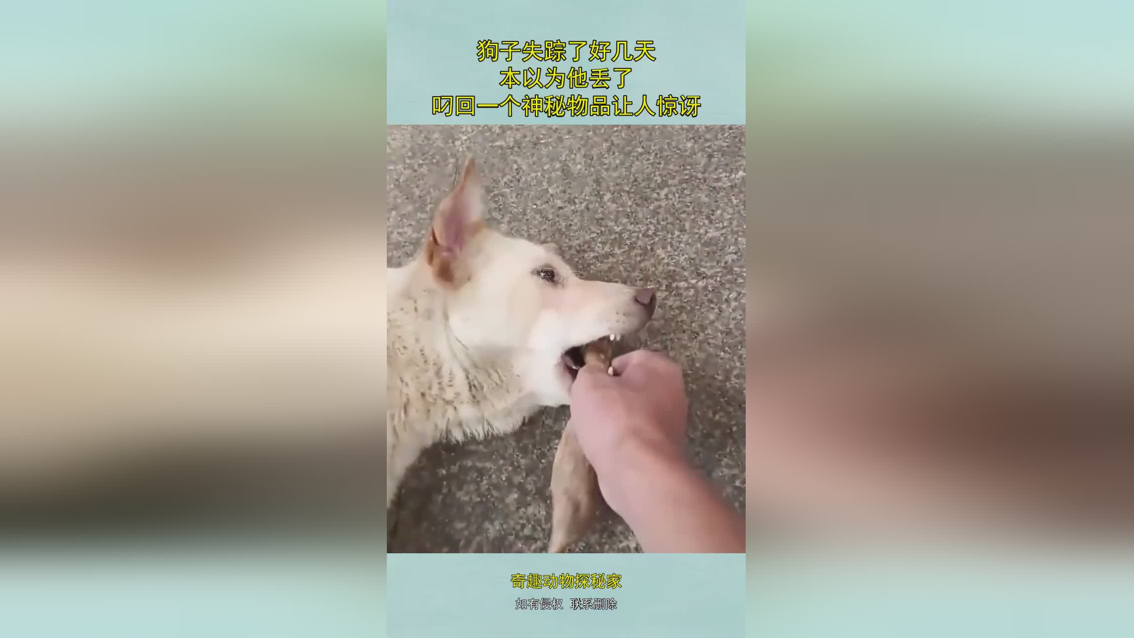 图