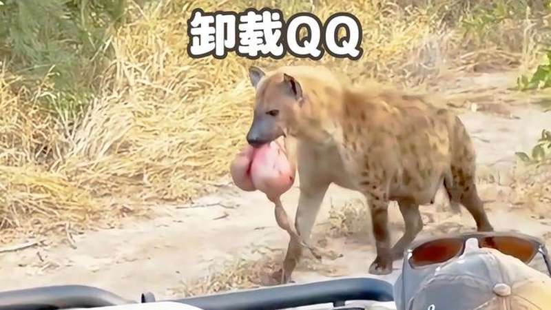 图