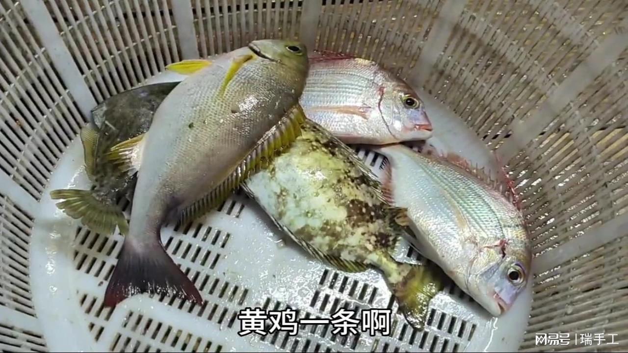 图