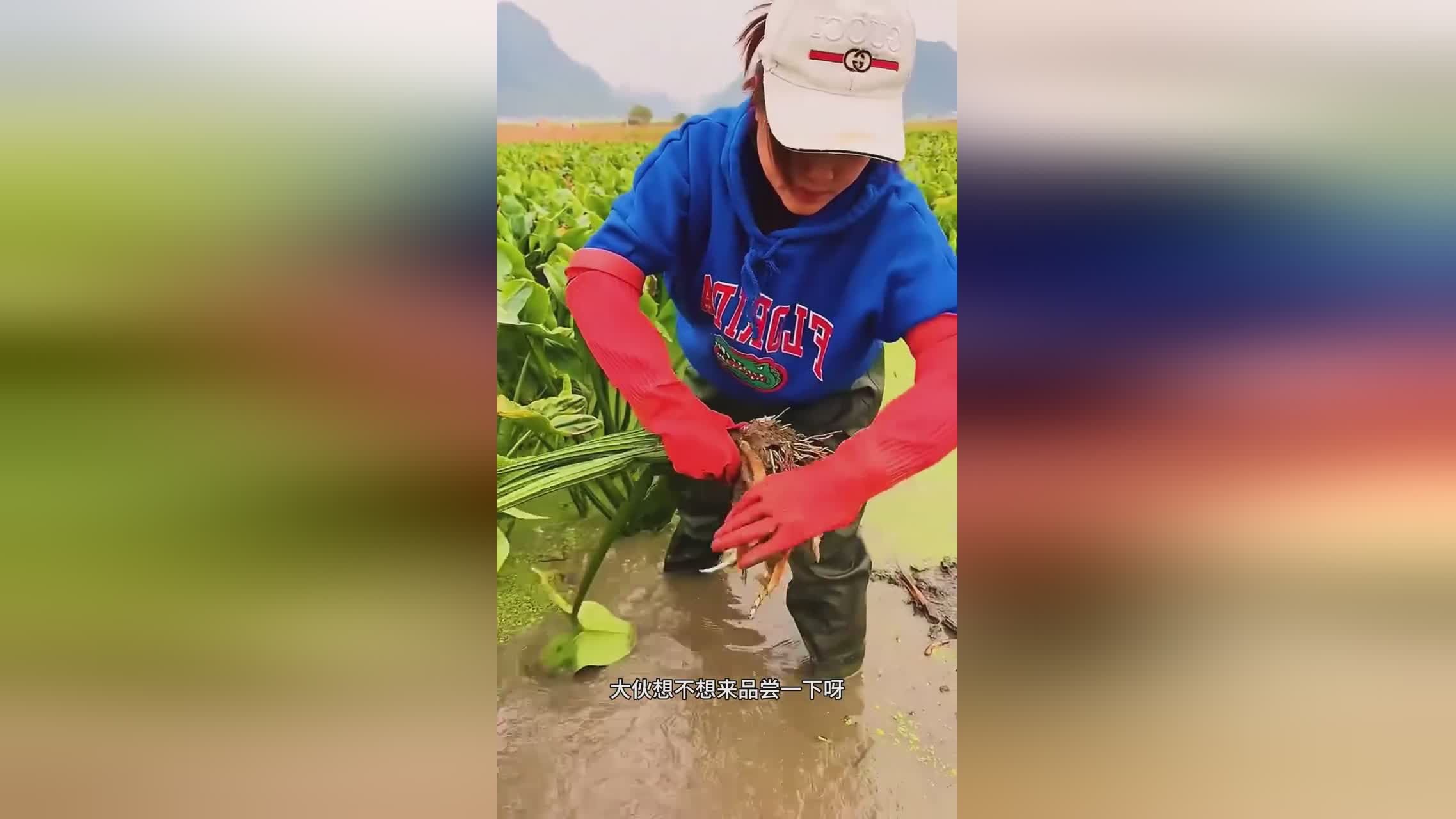 图