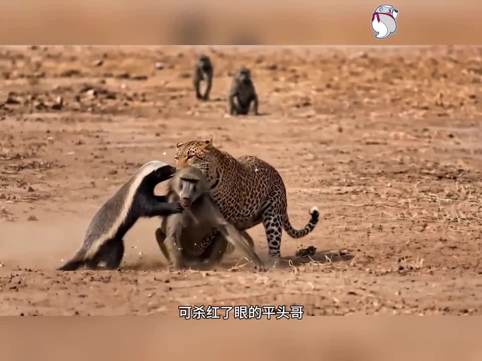图