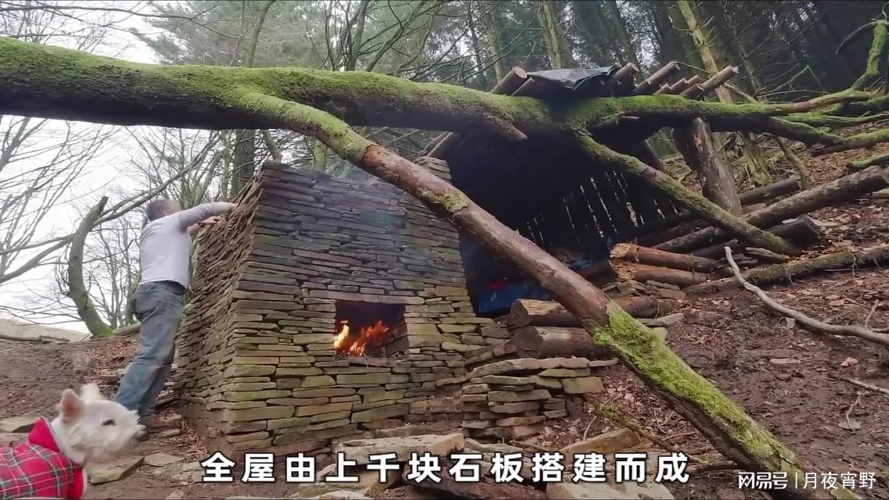 图