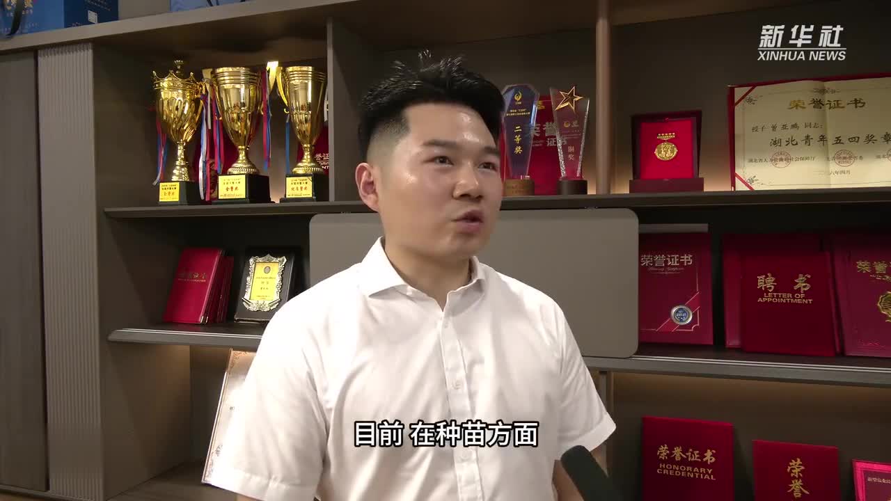 图