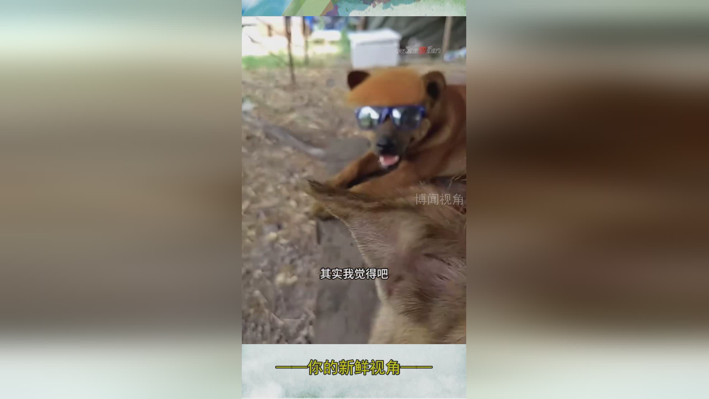 图