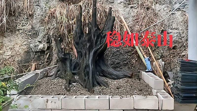 图
