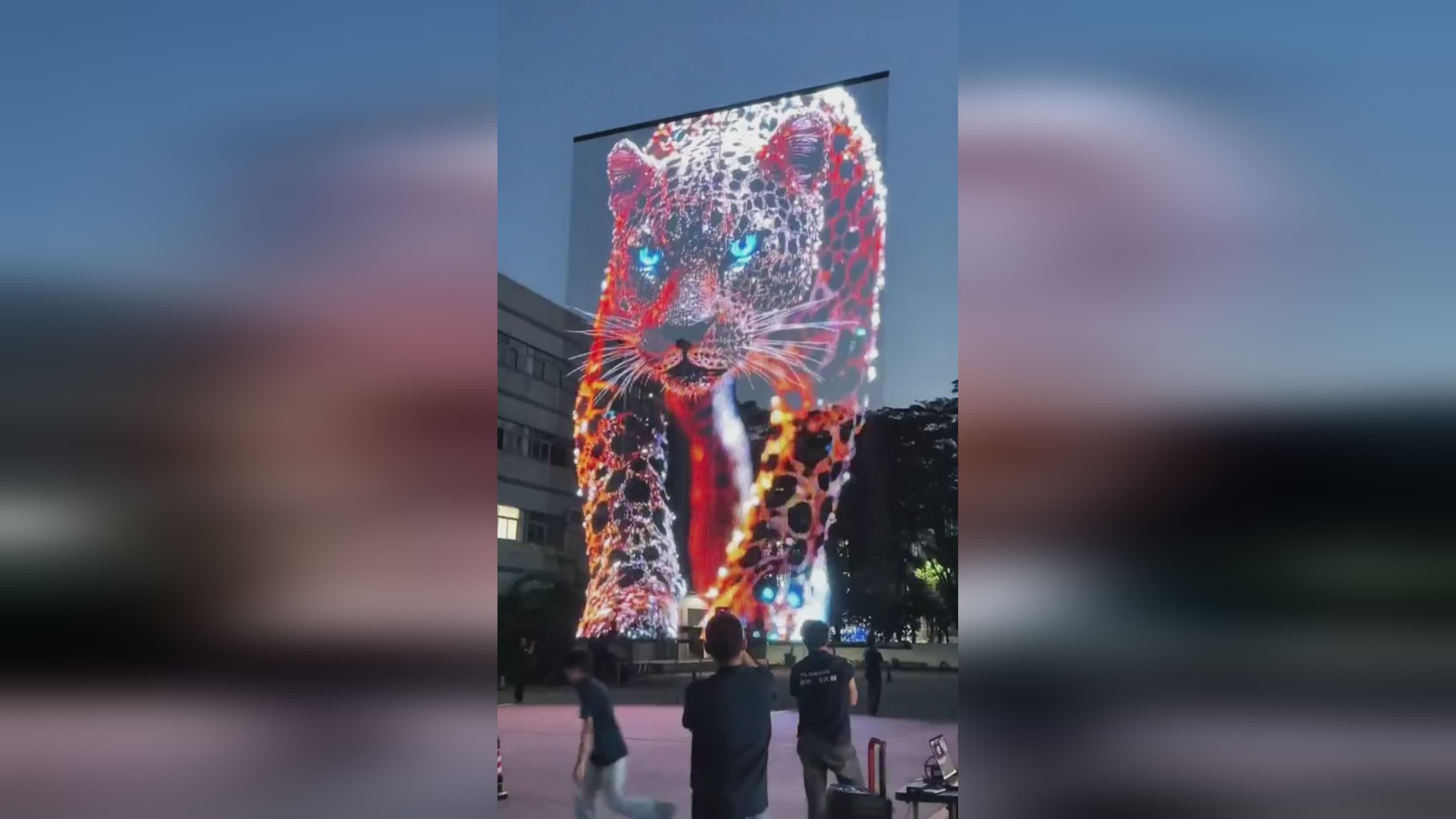 图