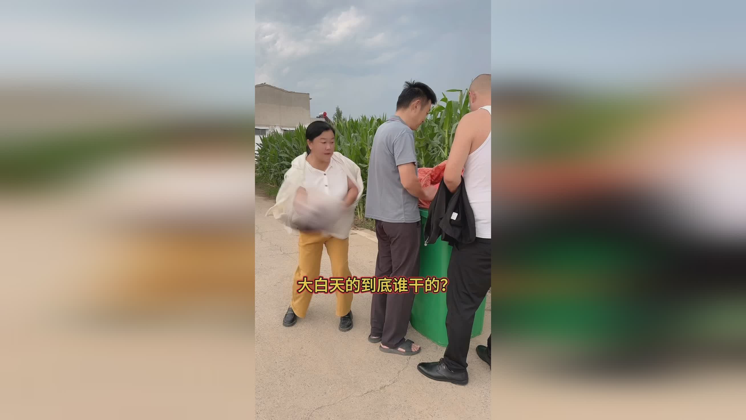 图