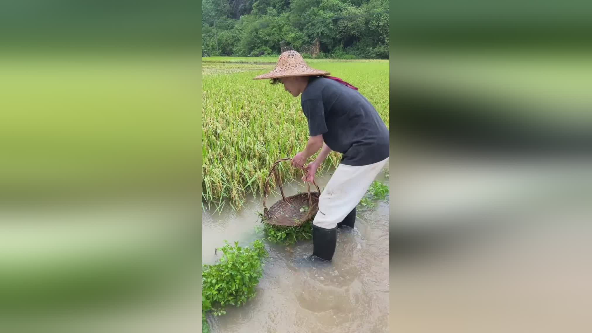 图