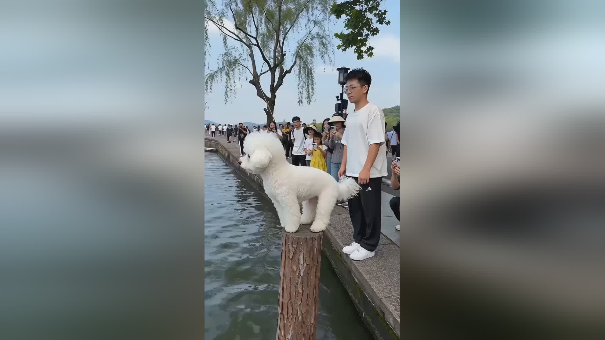 图