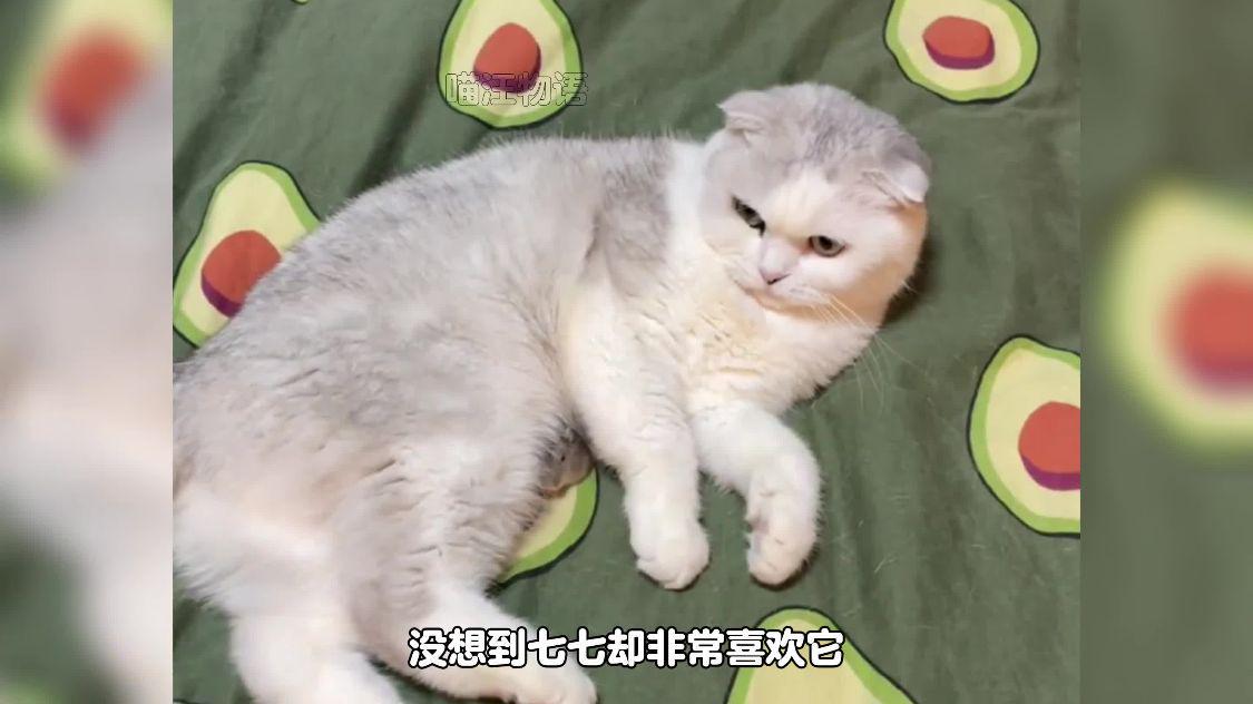 图