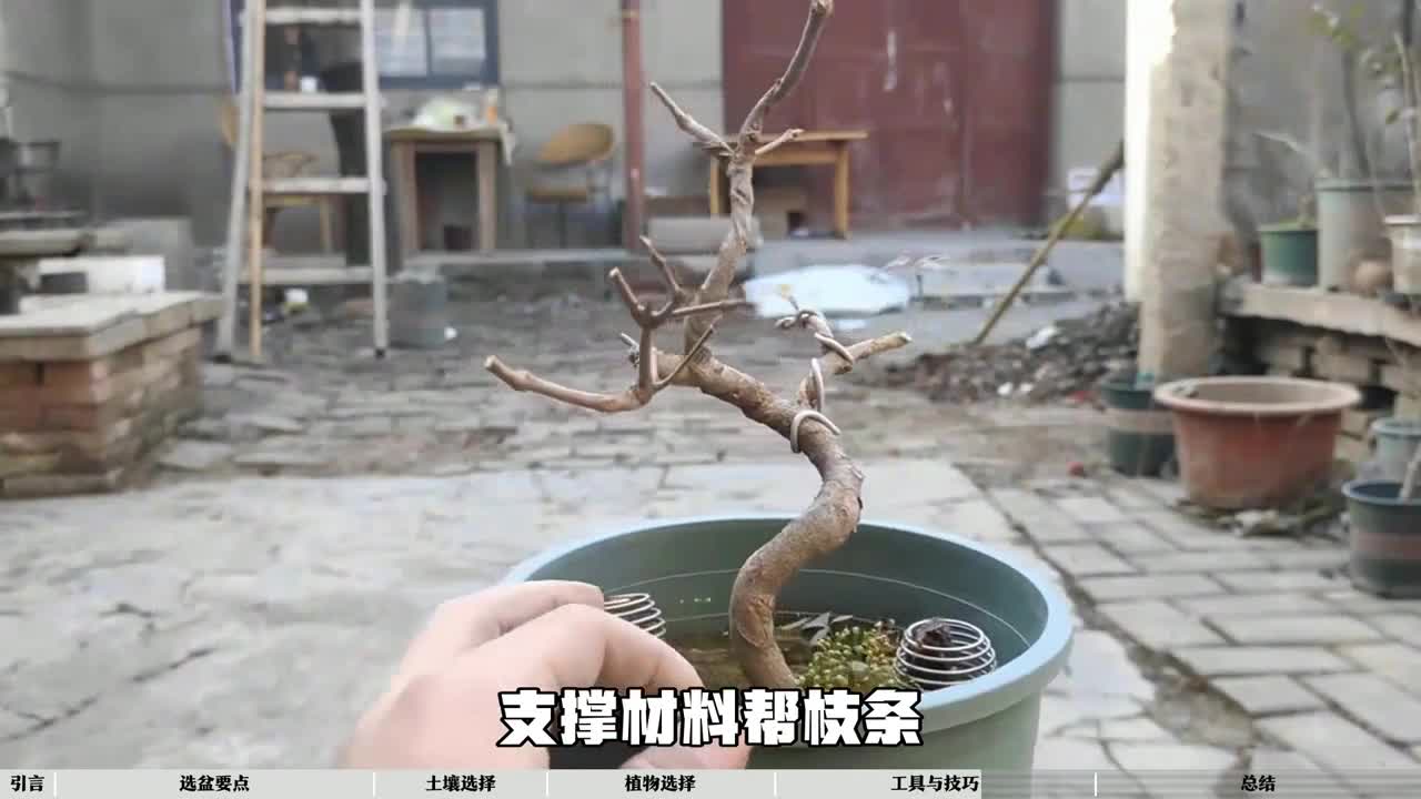 图