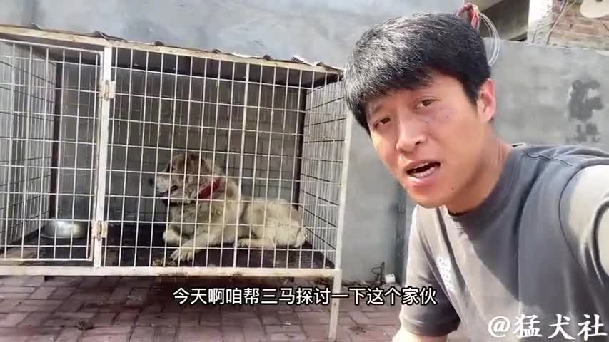 图