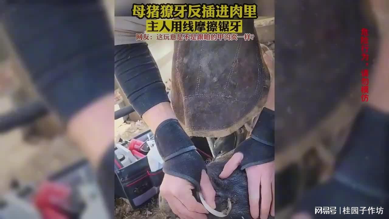 图