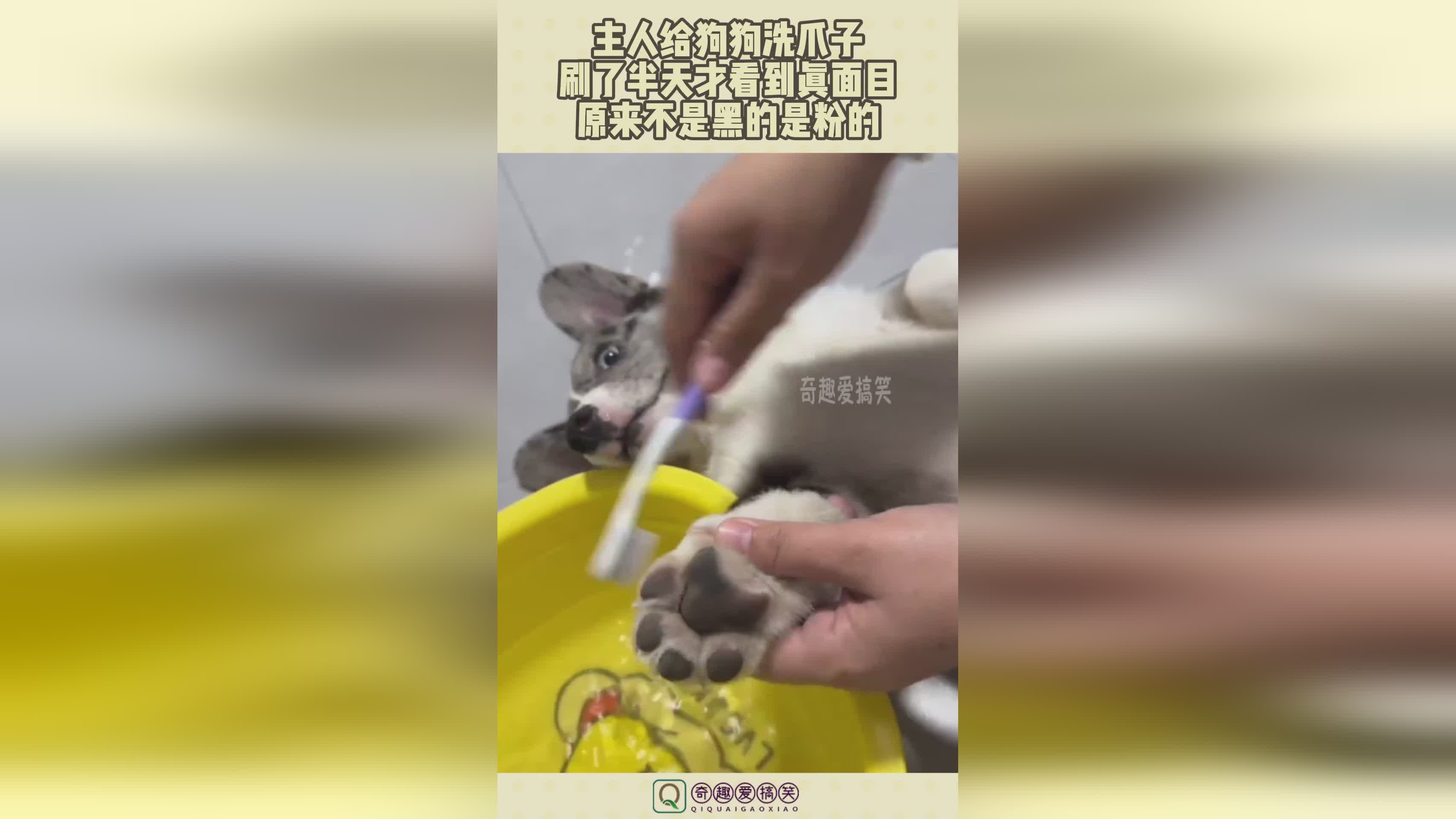 图