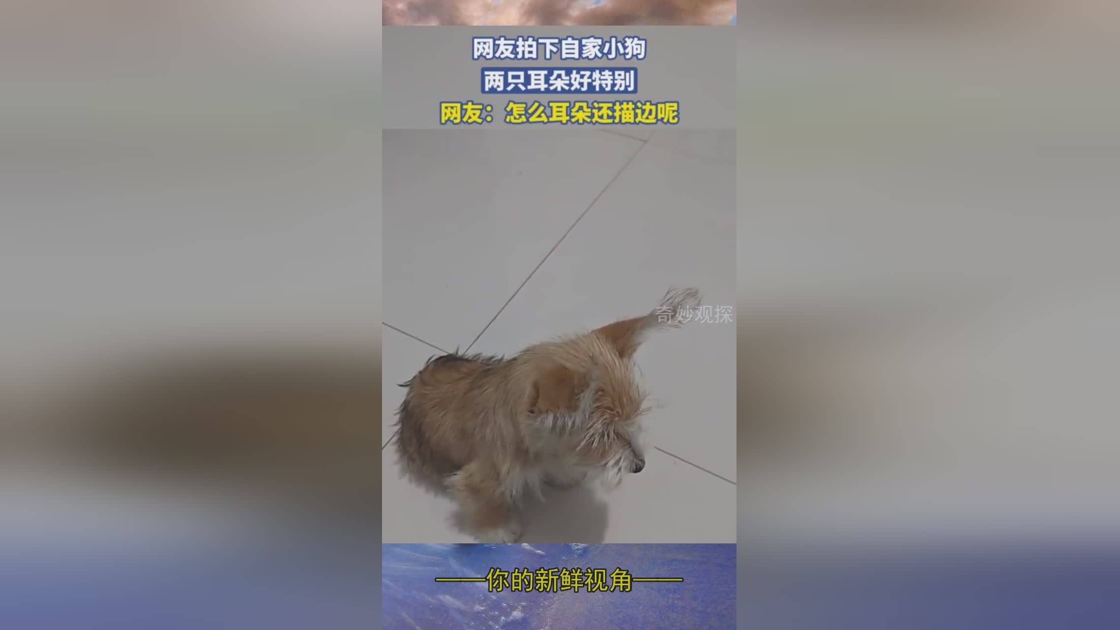 图