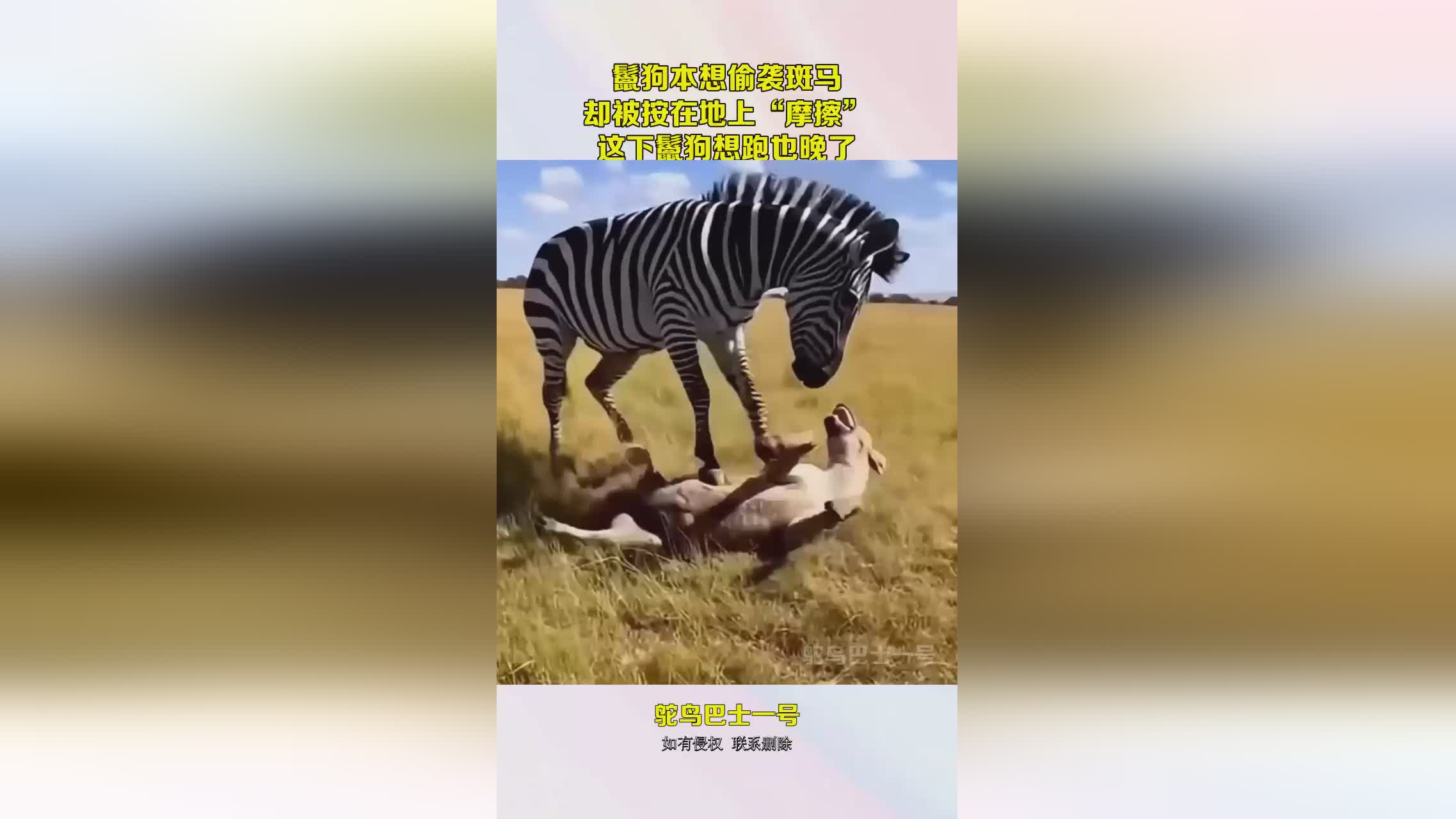 图