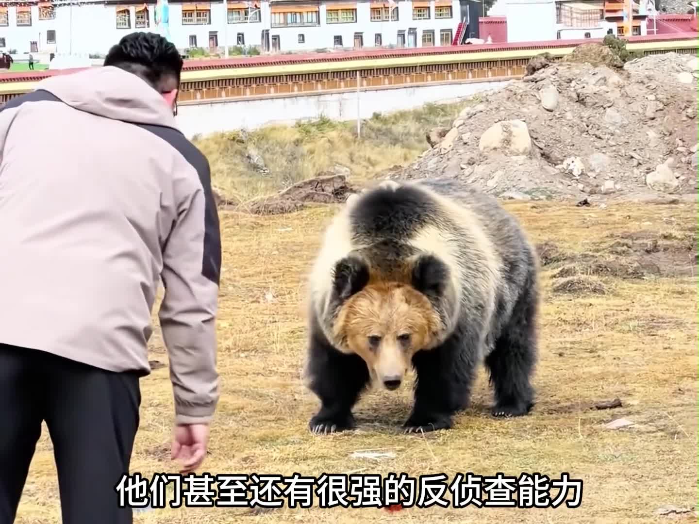 图