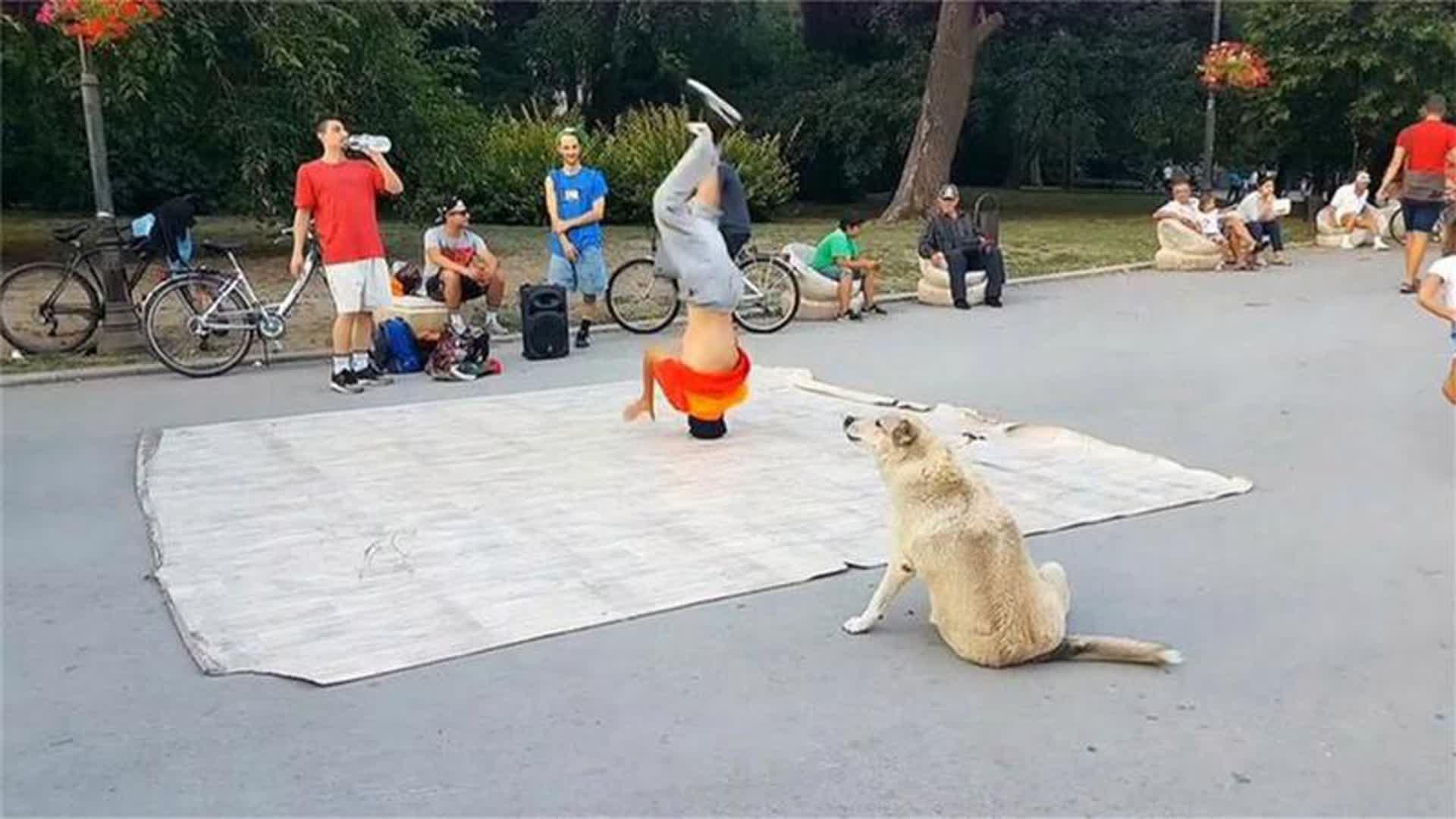 图