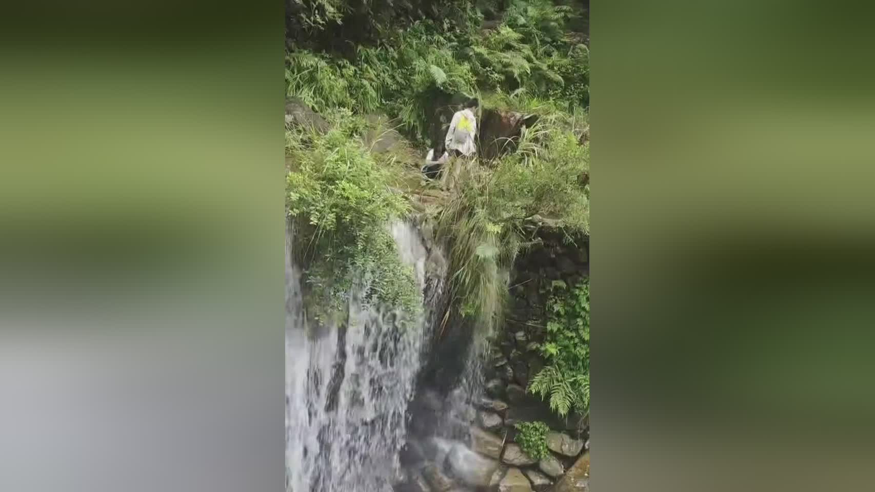 图